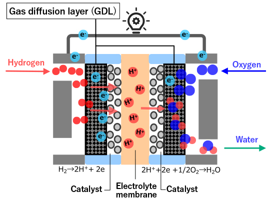 Schematic diagram of a fuel cell (PEFC)