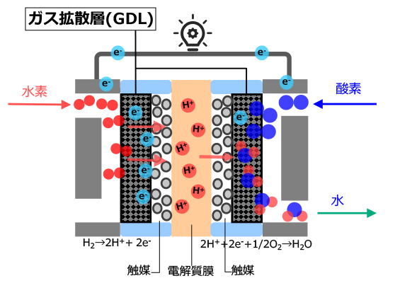 燃料電池（PEFC）模式図