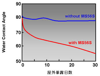 屋外暴走暴露日数