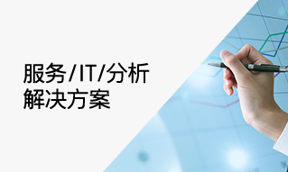 服务/IT/分析解决方案