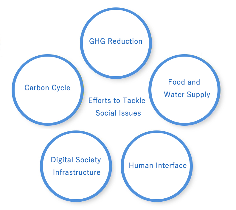 Our Solutions & Focus Markets