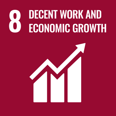 SDG 8