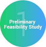 1 Preliminary Feasibility Study