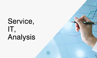 Service/IT/Analysis