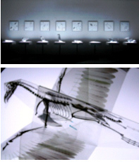 ��� �w�I���c�i�O���m�x