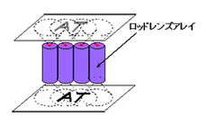 ロッドレンズアレイによる結像の画像