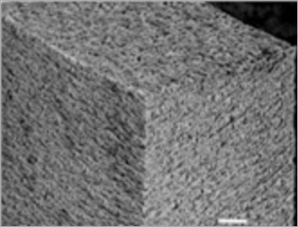 Hollow Fiber Membrane Cross-section