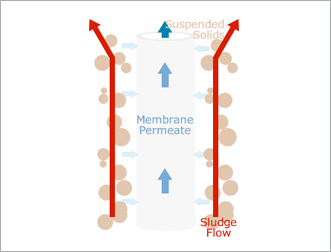 Membrane Filtration