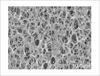 Hollow Fiber Membrane Outer Surface