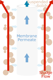 Membrane Filtration