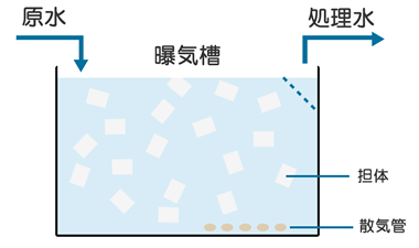 担体 DiaFellow™ PTとは？