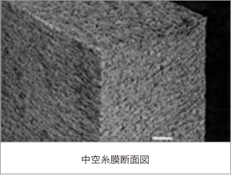 中空糸膜断面図